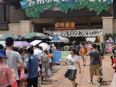 -苏州乐园森林水世界