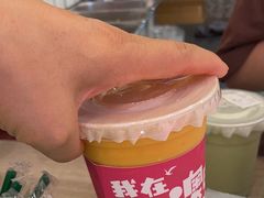 -南澳岛打卡果汁冰公司