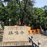 南京旅行|秦淮古韵一日游攻略