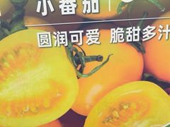 -蒲黄榆(地铁站)