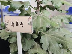 -杭州植物园