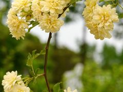 -黄兴公园