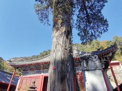 -北京上方山国家森林公园