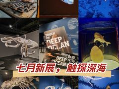 -凤凰中心