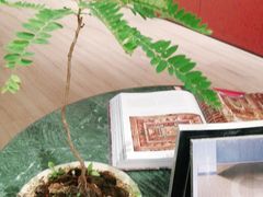 -二酉书店TOYOU BOOKS