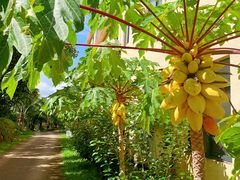 -石梅湾艾美度假酒店