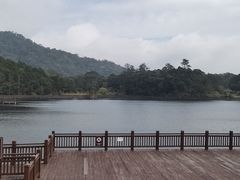 -海南热带雨林国家公园吊罗山景区