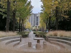 -苏州河梦清园环保主题公园