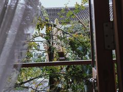 -Jo's Garden