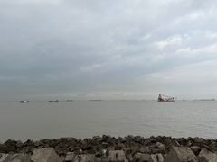 -上海滨江森林公园
