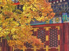 -香山公园