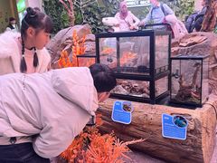 -陕西自然博物馆