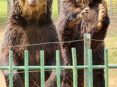 -秦皇岛野生动物园
