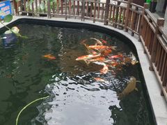 -华庭苑农家乐(旺山店)