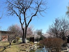 -三里河公园