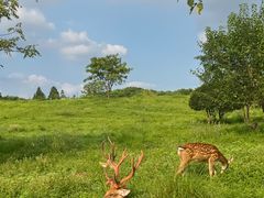 -良渚古城遗址公园