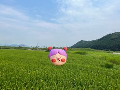 -岚山嵯峨野观光小火车