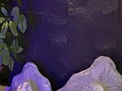 -观宴·品质赣菜(高新大道店)