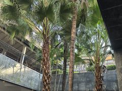 -平安（深圳）金融教育培训中心