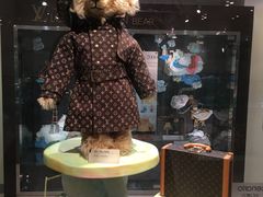 -济州岛泰迪熊博物馆