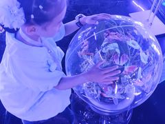 -苏州青少年科技馆