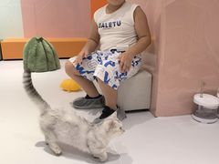 -宝大祥青少年儿童购物中心(南京东路店)