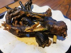 -老号尤兔头(西川店)