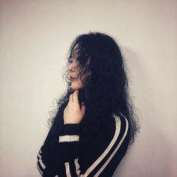 -大象造型