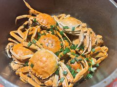 小霸王螃蟹-好爸爸(印象城旗舰店)