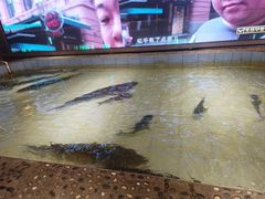 -胖姐渔村(中源大道店)