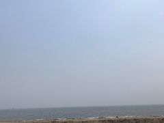 -贝林大翅鲸简餐厅(国家海洋博物馆店)