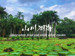 -中国科学院西双版纳热带植物园