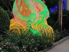 -南宫五洲植物乐园