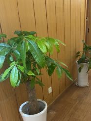 -重庆星宸整形美容医院