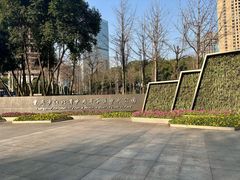 -重庆市江北嘴中央商务区中央公园