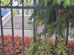 -青岛市市南区实验幼儿园(延吉路园)