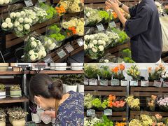 -VT101维多利广场