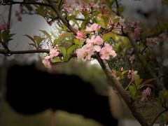 -眉山湿地公园(东坡区)