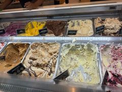 -Patagonia Chocolates(皇后镇店)