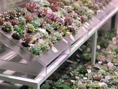 -KKV(深圳宏发大仟里店)