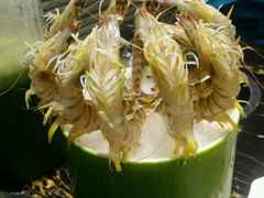 android_upload_pic-渔傅·蓝海岸霞浦海鲜(正祥店)