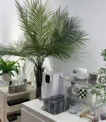 -韩美绣·骨相纹眉·洗眉美瞳线