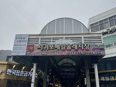 -西归浦每天偶来市场
