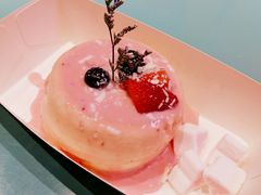 -狐狸和向日葵(北京路店)
