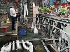 -鹅城