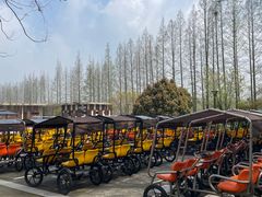 -黄海国家森林公园