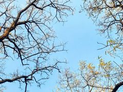 -玲珑塔公园