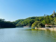 -深圳仙湖植物园