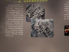 -台州博物馆