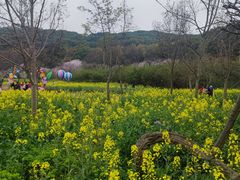 -苏州上方山国家森林公园